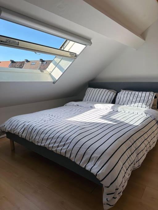 Villa Large Quiet Whole House Near Historic Gent Centre Exterior foto