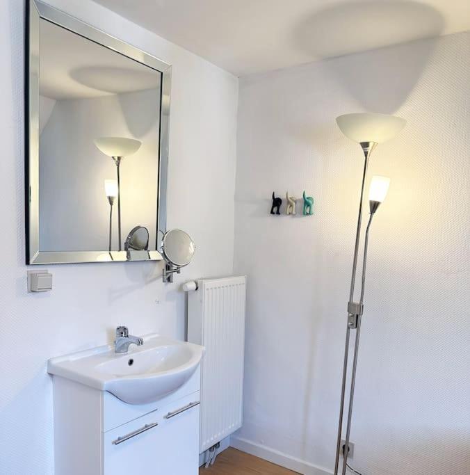Villa Large Quiet Whole House Near Historic Gent Centre Exterior foto